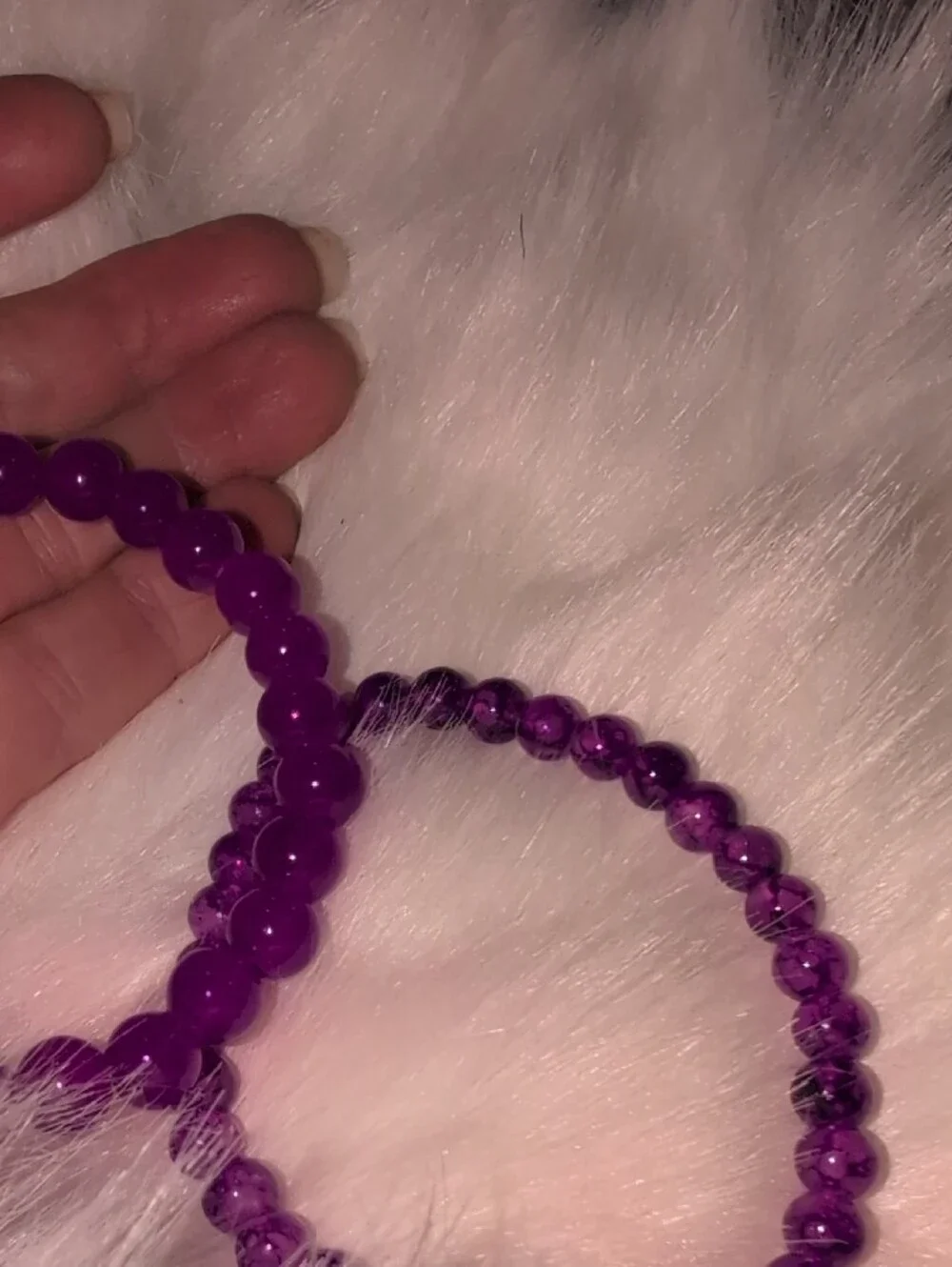 None stylish purple